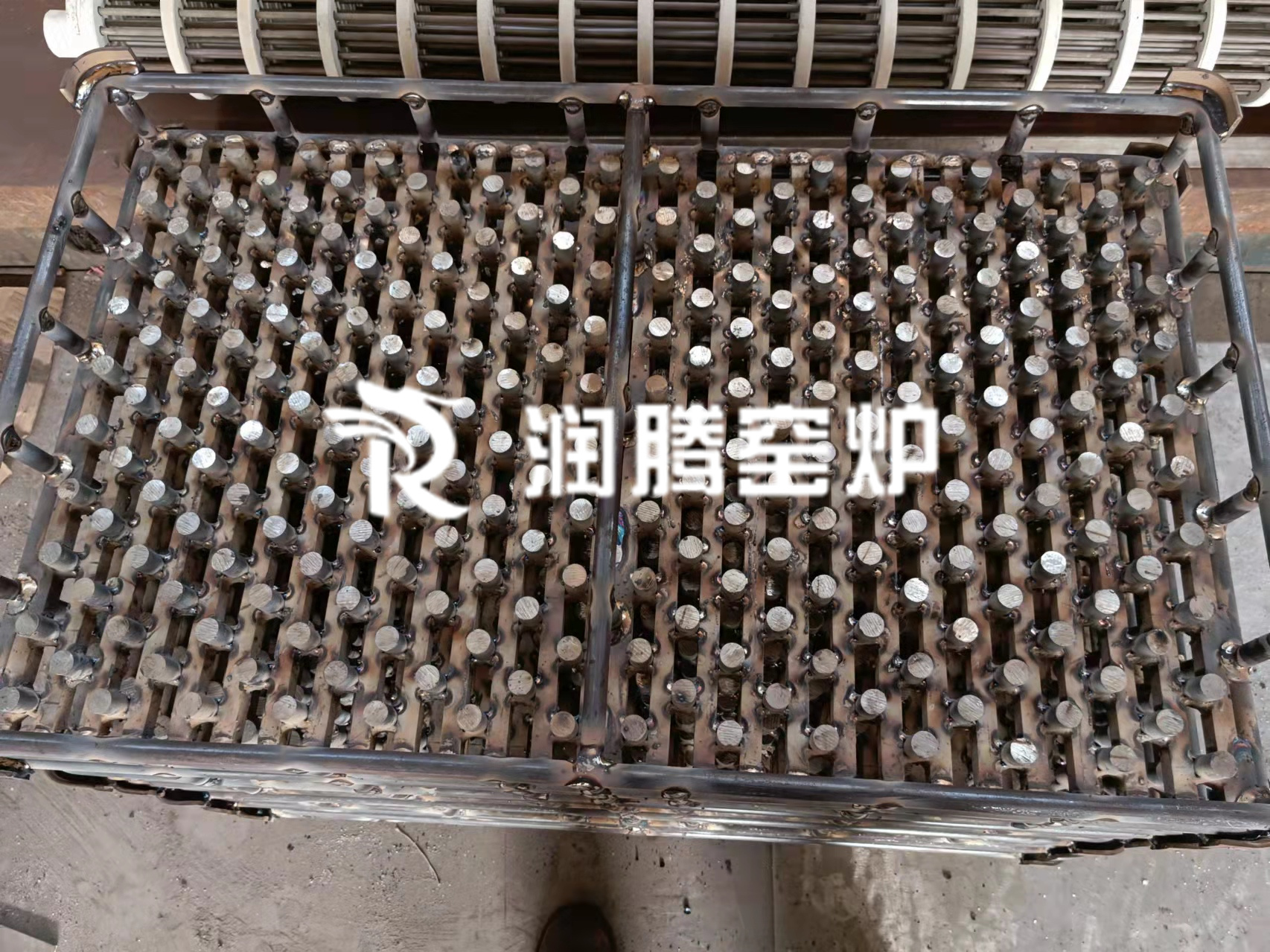 202111226fb74eb5e633a8672c67a48b49a5732e.jpg